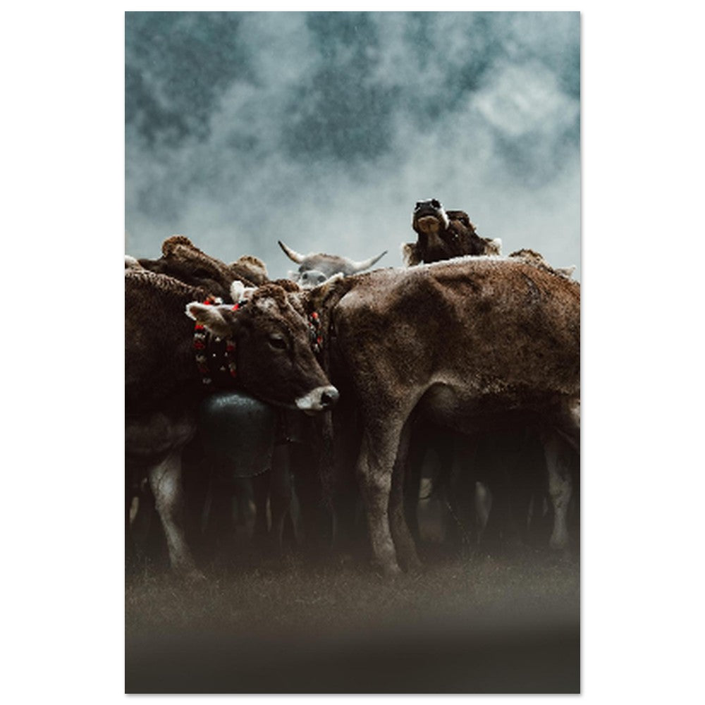 5aa1b759-1a01-4de2-8c5b-b5c8cf3634c4