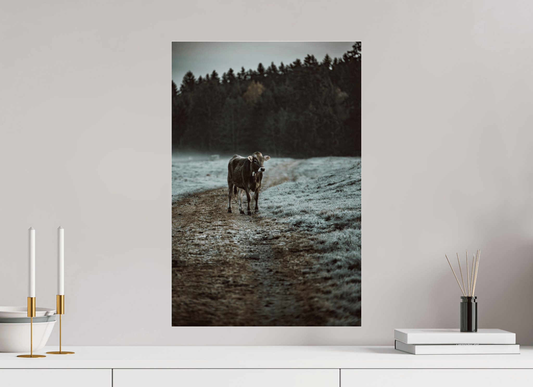Allgäu Kuh 2 - Chris - Frumolt - Shop