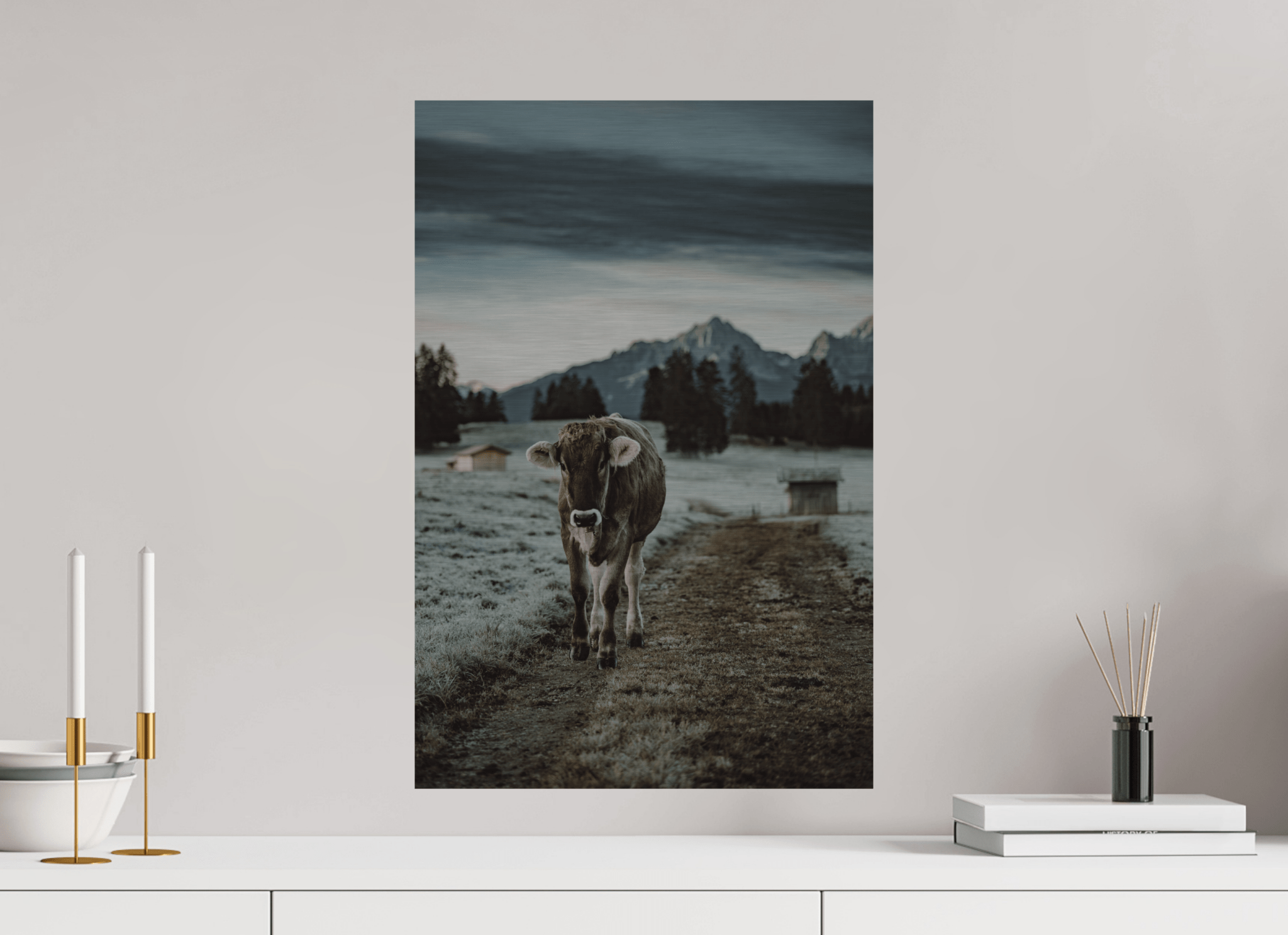 Allgäu Kuh 8 - Chris - Frumolt - Shop