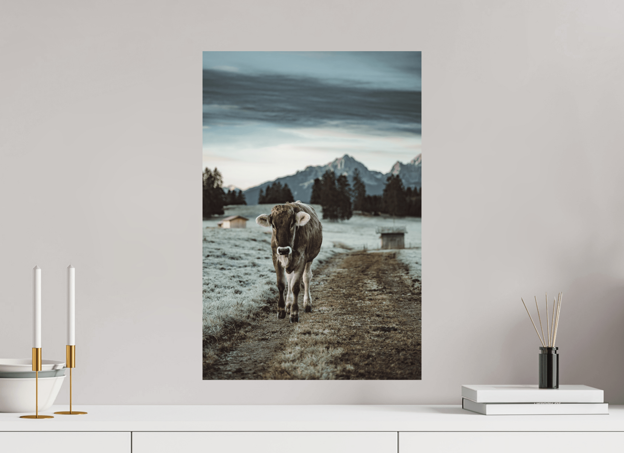 Allgäu Kuh 8 - Chris - Frumolt - Shop