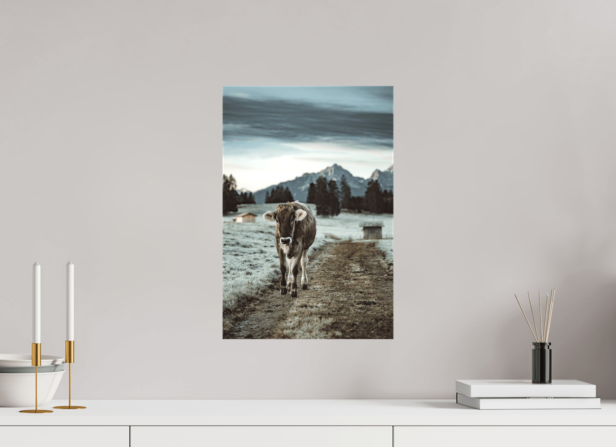 Allgäu Kuh 8 - Chris - Frumolt - Shop
