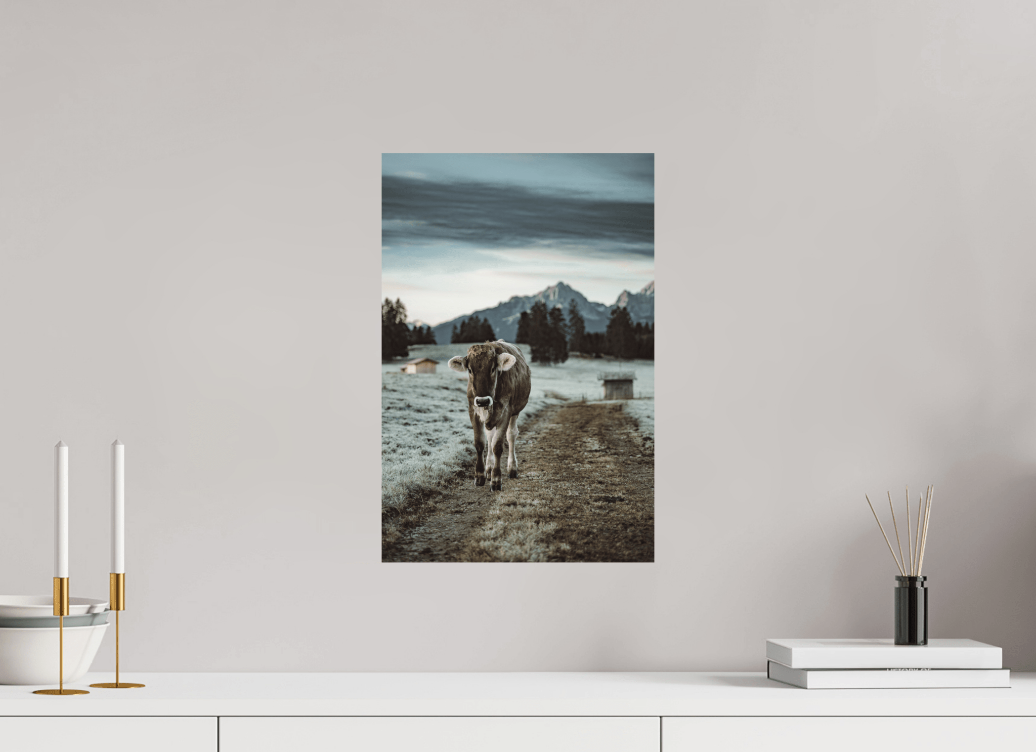 Allgäu Kuh 8 - Chris - Frumolt - Shop
