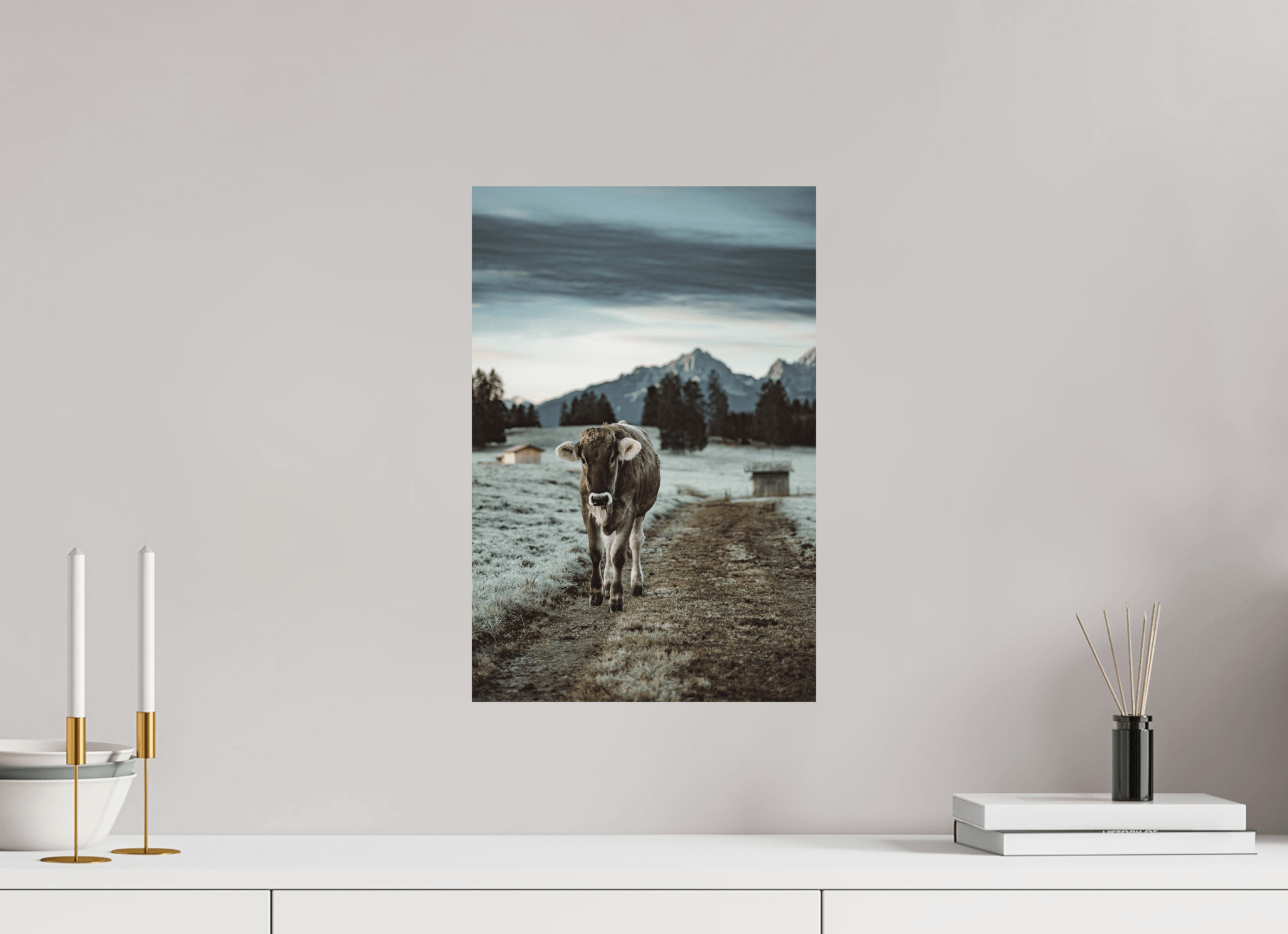 Allgäu Kuh 8 - Chris - Frumolt - Shop