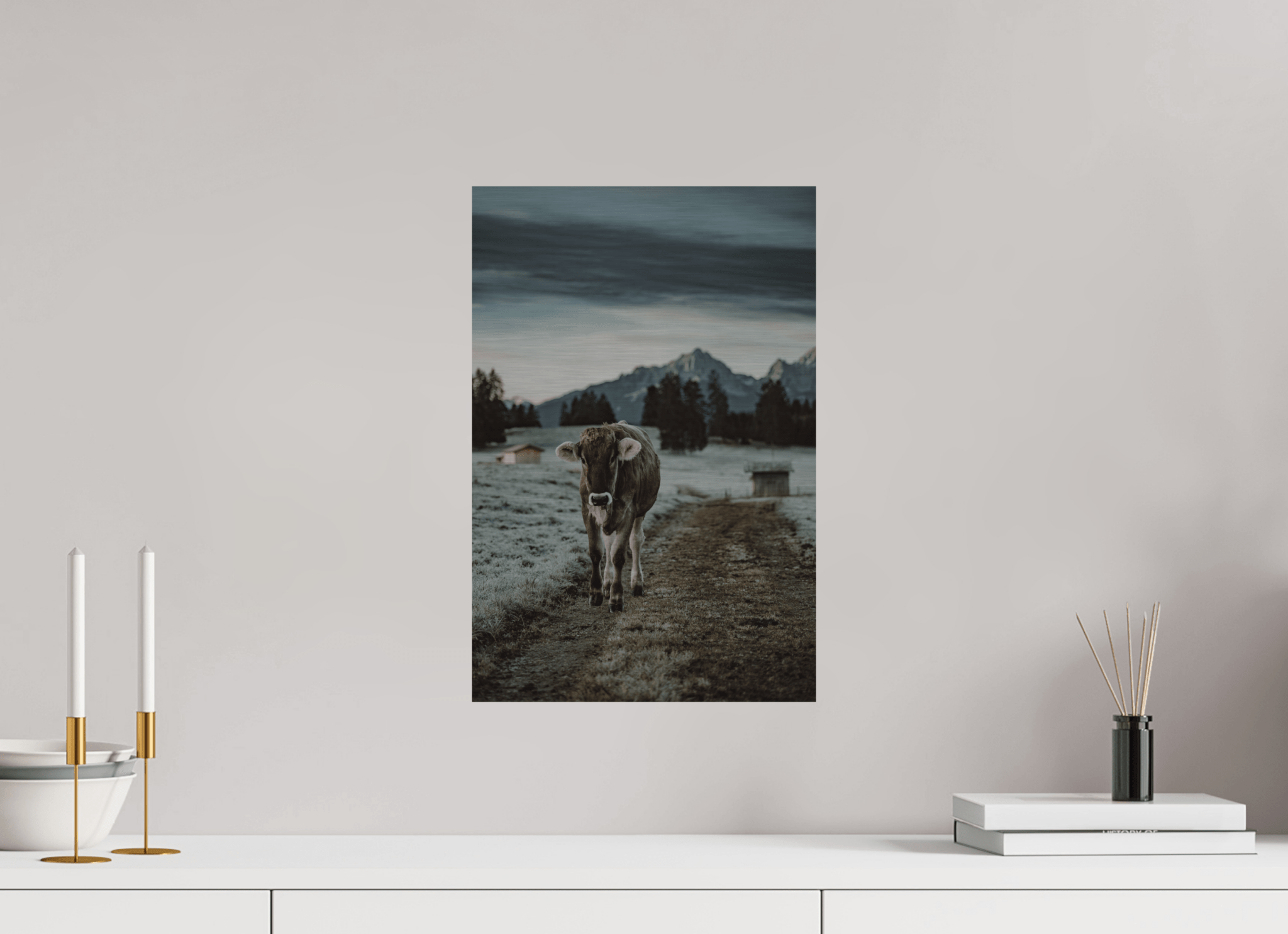 Allgäu Kuh 8 - Chris - Frumolt - Shop