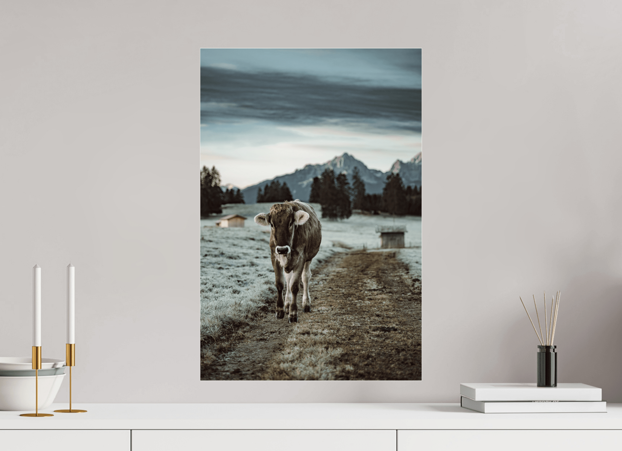 Allgäu Kuh 8 - Chris - Frumolt - Shop