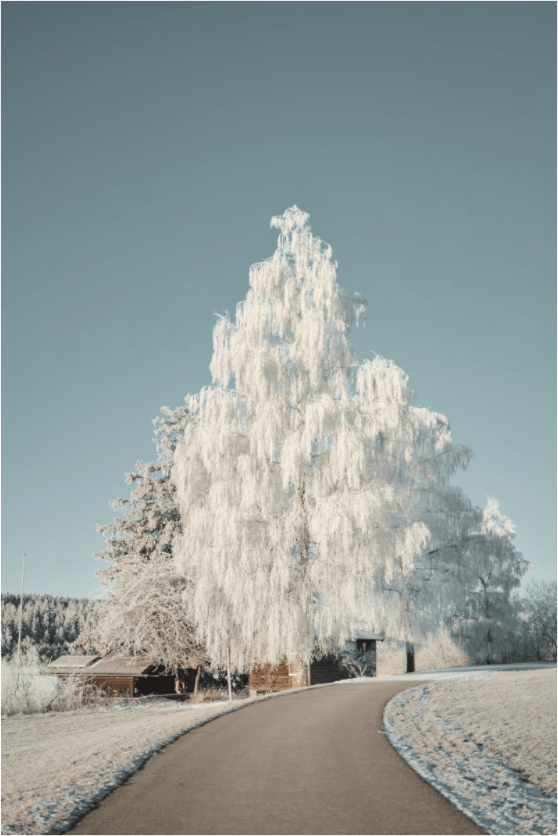 Attlesee 3 - Chris - Frumolt - Shop