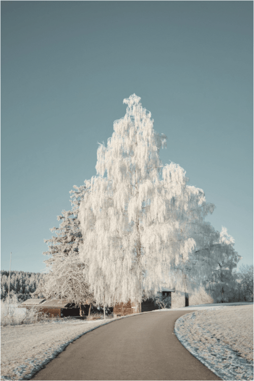 Attlesee 3 - Chris - Frumolt - Shop