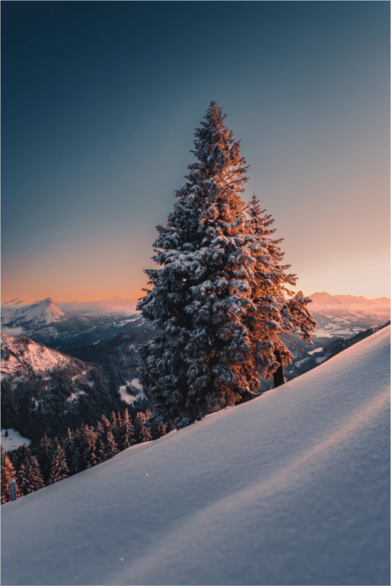 Edelsberg. Ostallgäu. - Chris - Frumolt - Shop
