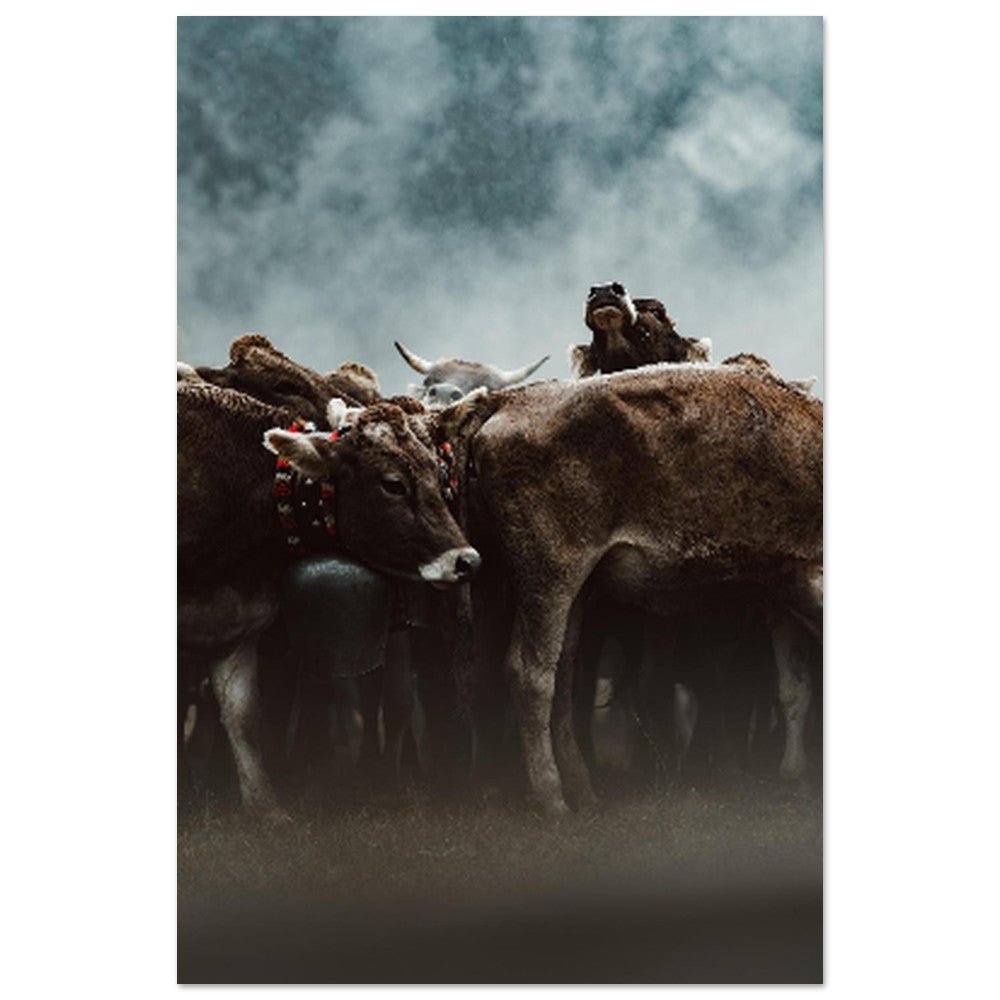 Fine Art Poster - Chris - Frumolt - Shop