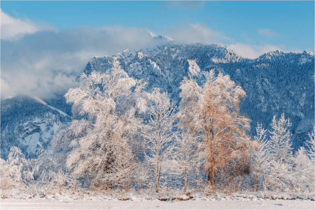 Forggensee III - Chris - Frumolt - Shop