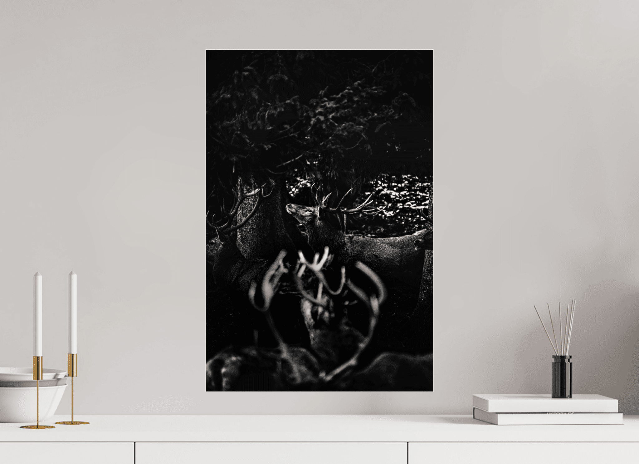 Hirsch im Wald. - Chris - Frumolt - Shop