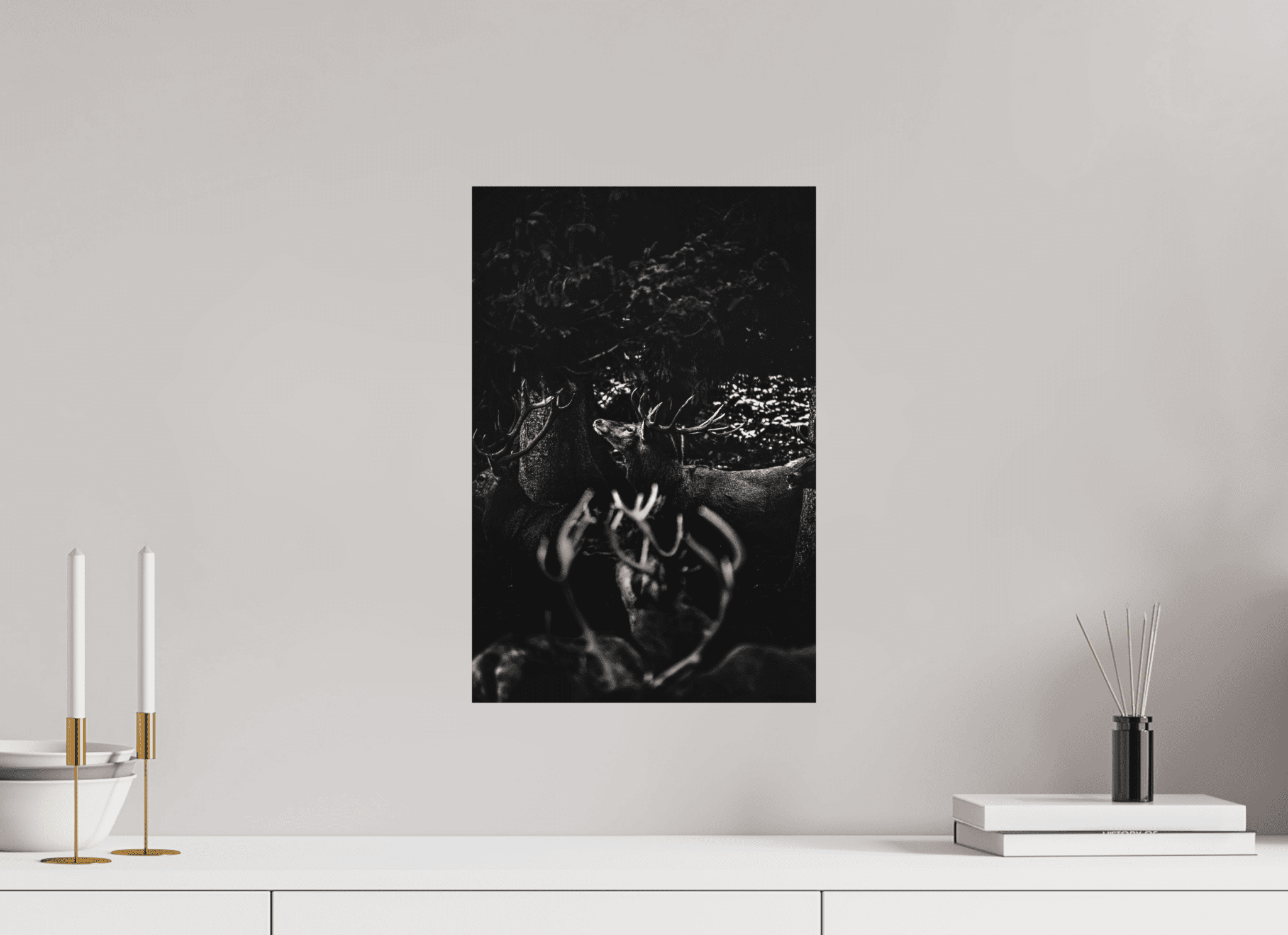 Hirsch im Wald. - Chris - Frumolt - Shop