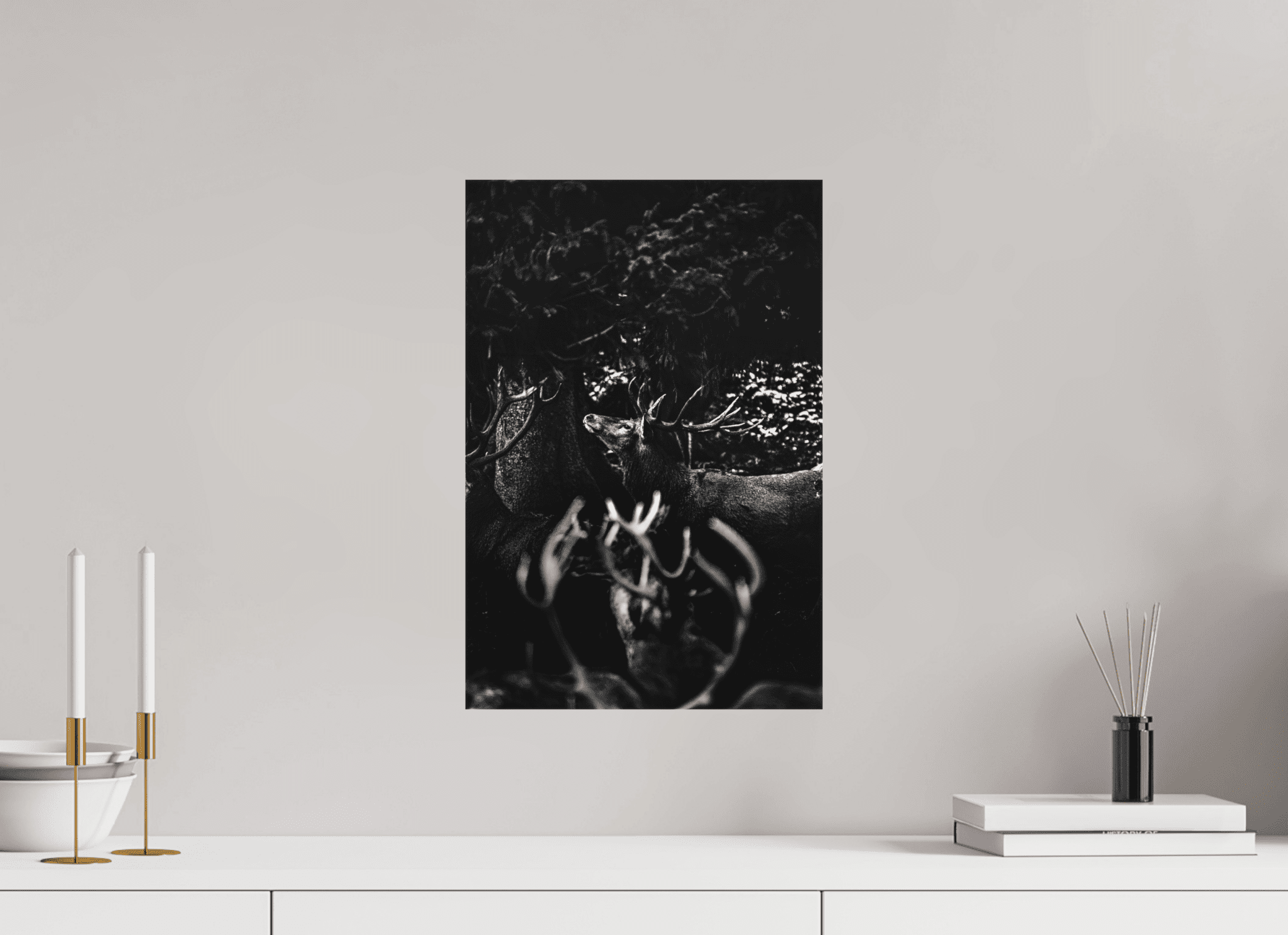 Hirsch im Wald. - Chris - Frumolt - Shop