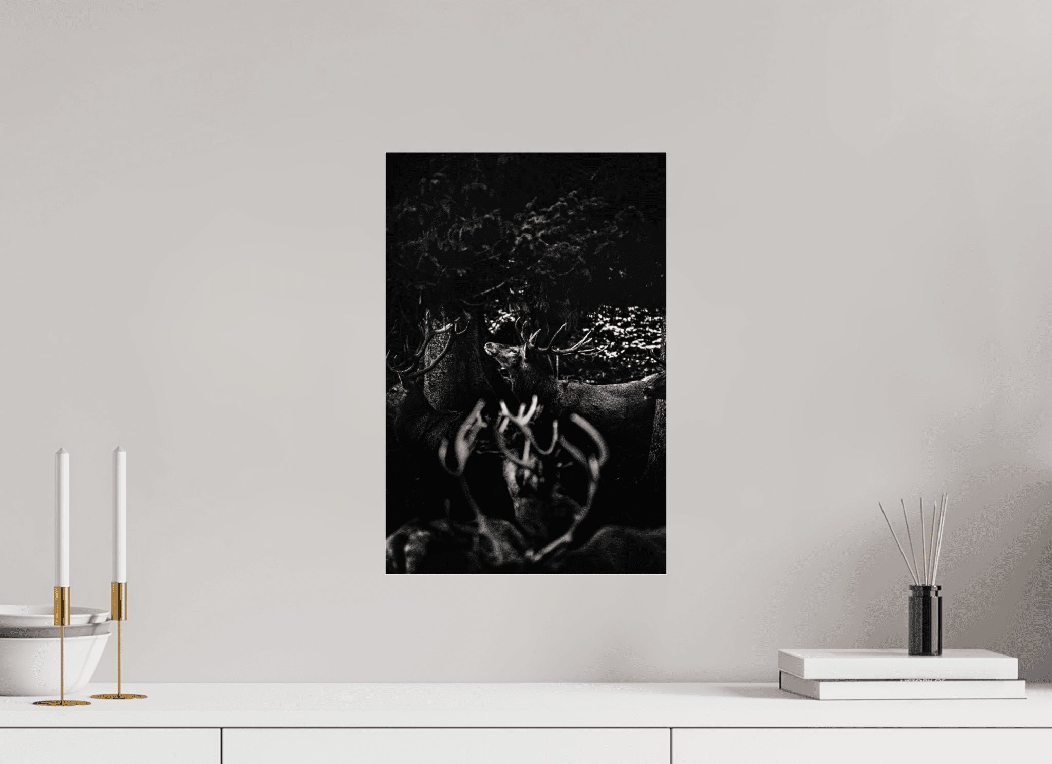 Hirsch im Wald. - Chris - Frumolt - Shop