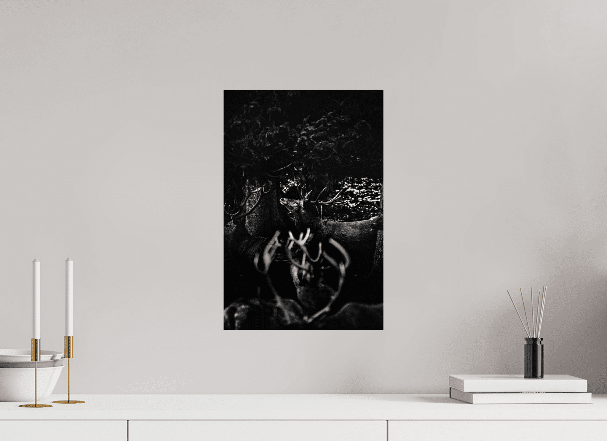 Hirsch im Wald. - Chris - Frumolt - Shop