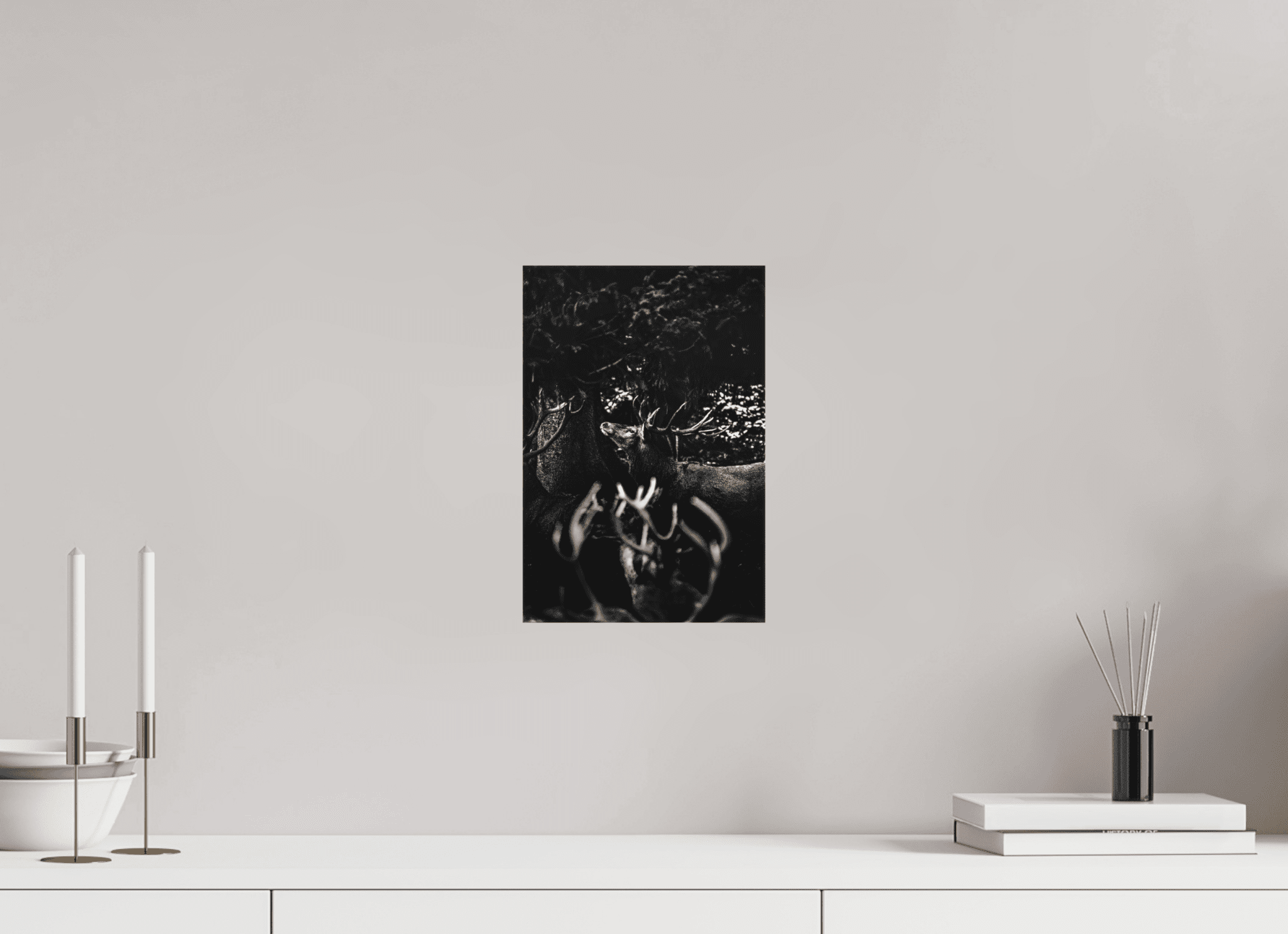 Hirsch im Wald. - Chris - Frumolt - Shop