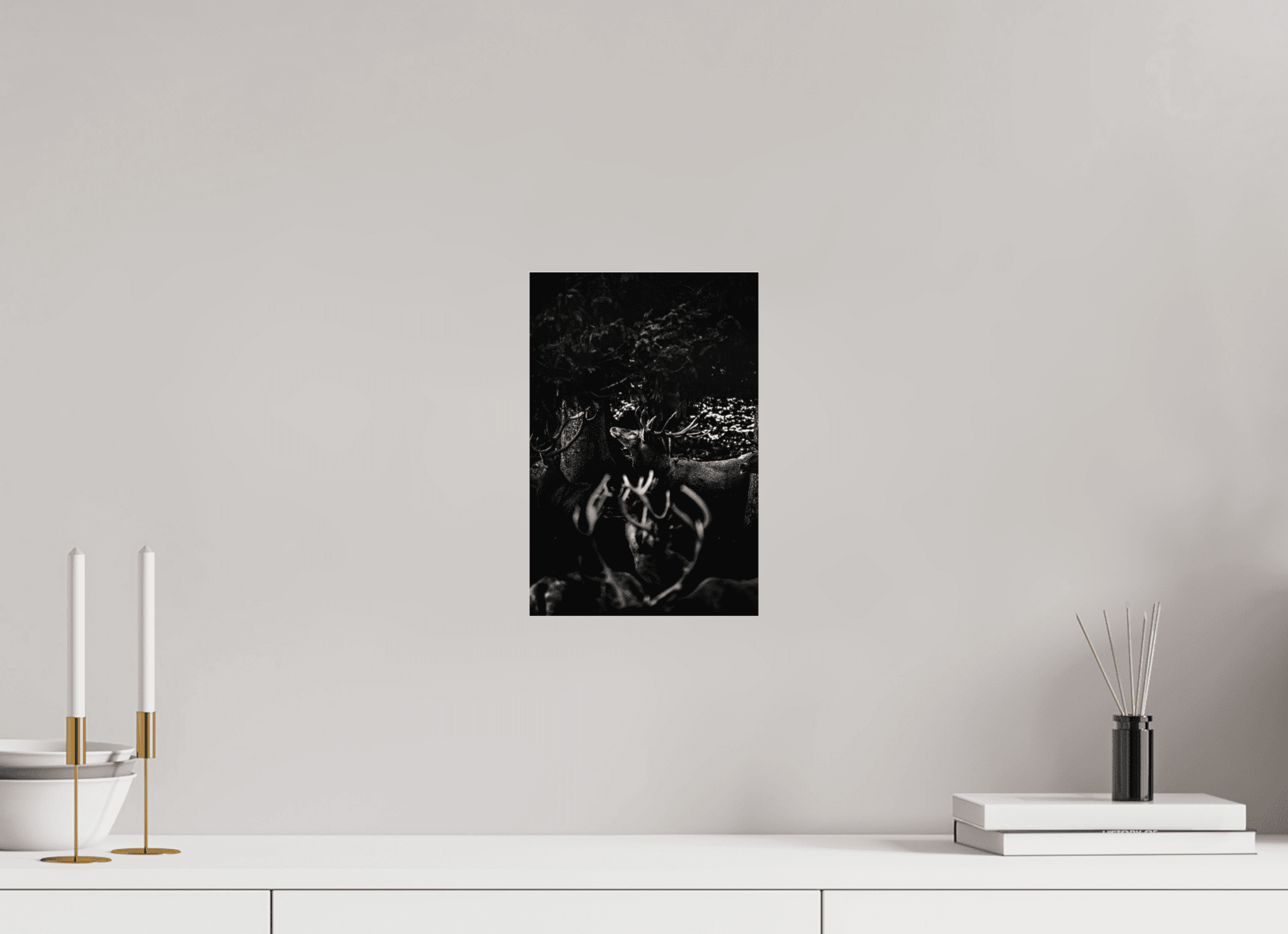 Hirsch im Wald. - Chris - Frumolt - Shop