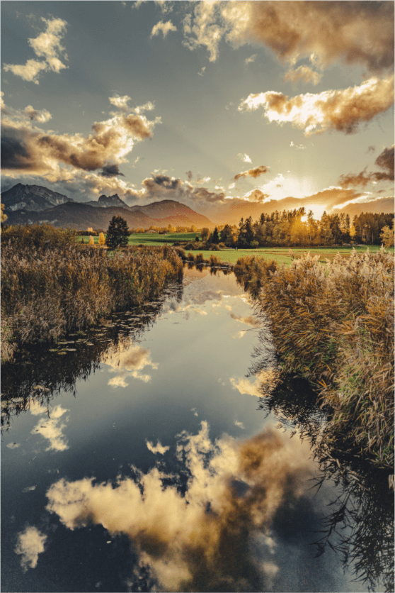 Hopfensee IX - Chris - Frumolt - Shop
