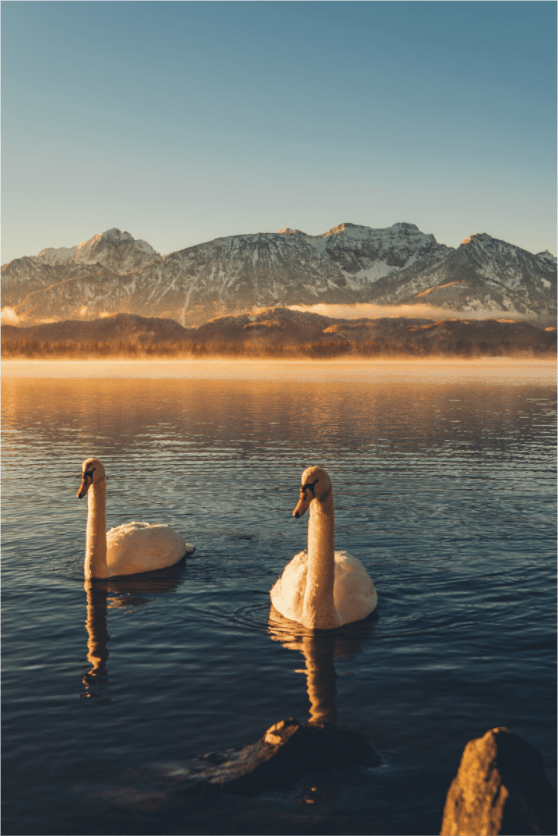 Hopfensee XI - Chris - Frumolt - Shop
