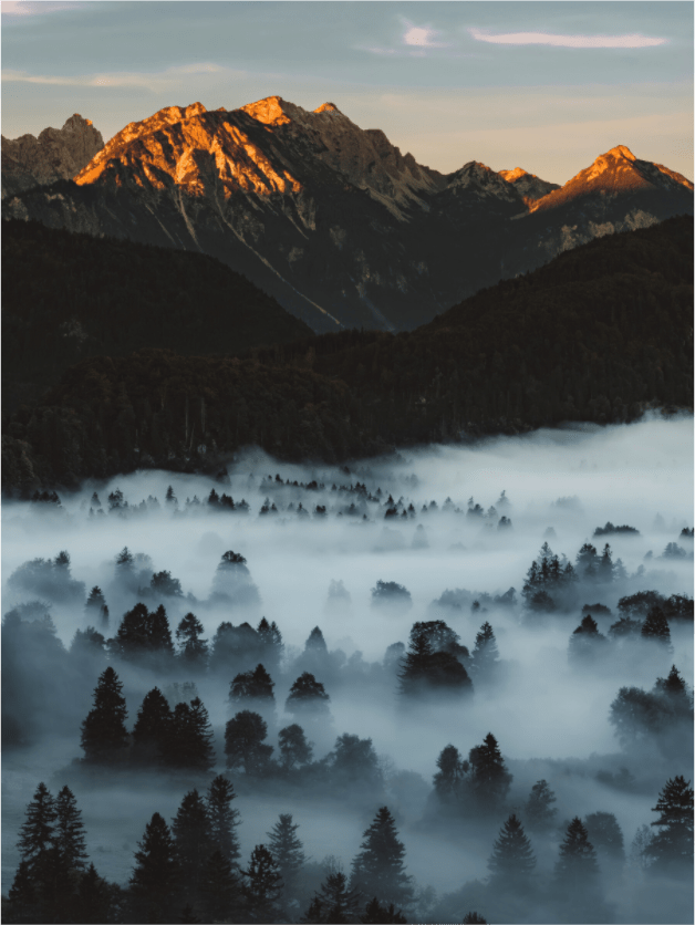 Nebel im Tal. Sonne am Berg. - Chris - Frumolt - Shop