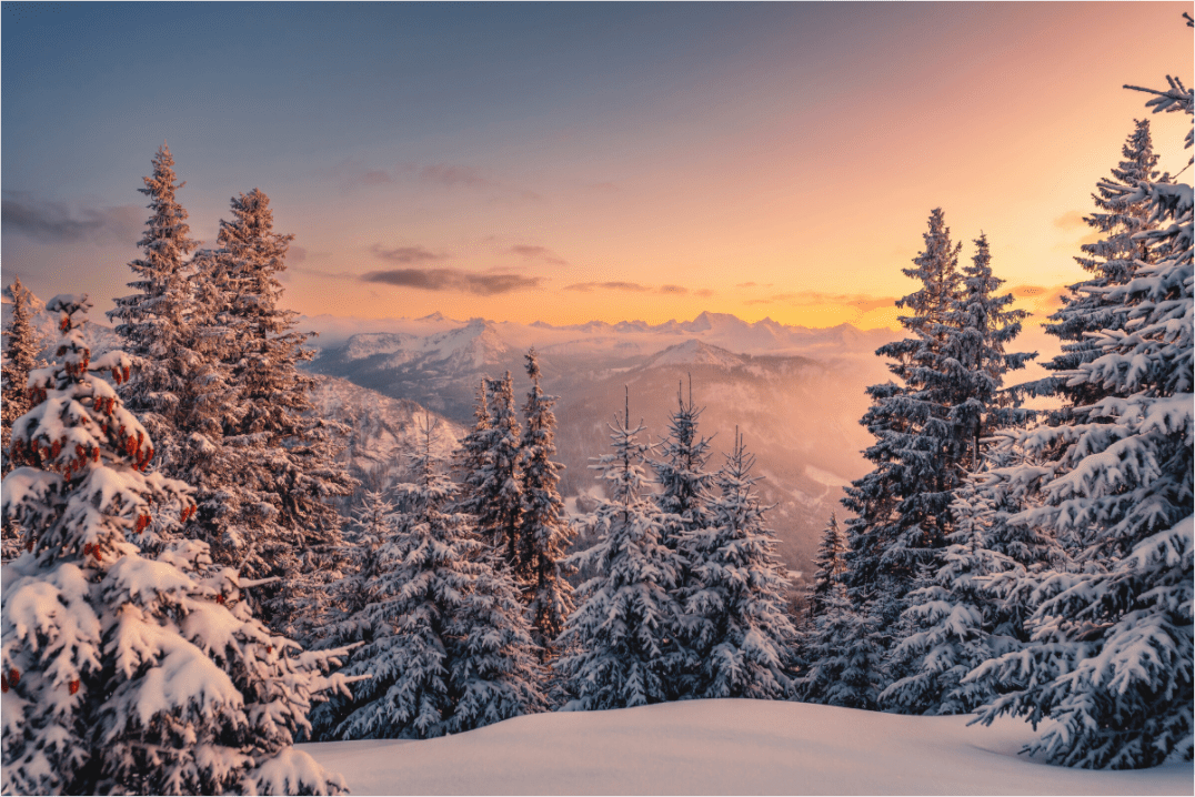 Ostallgäu Winter Wonder Land - Chris - Frumolt - Shop