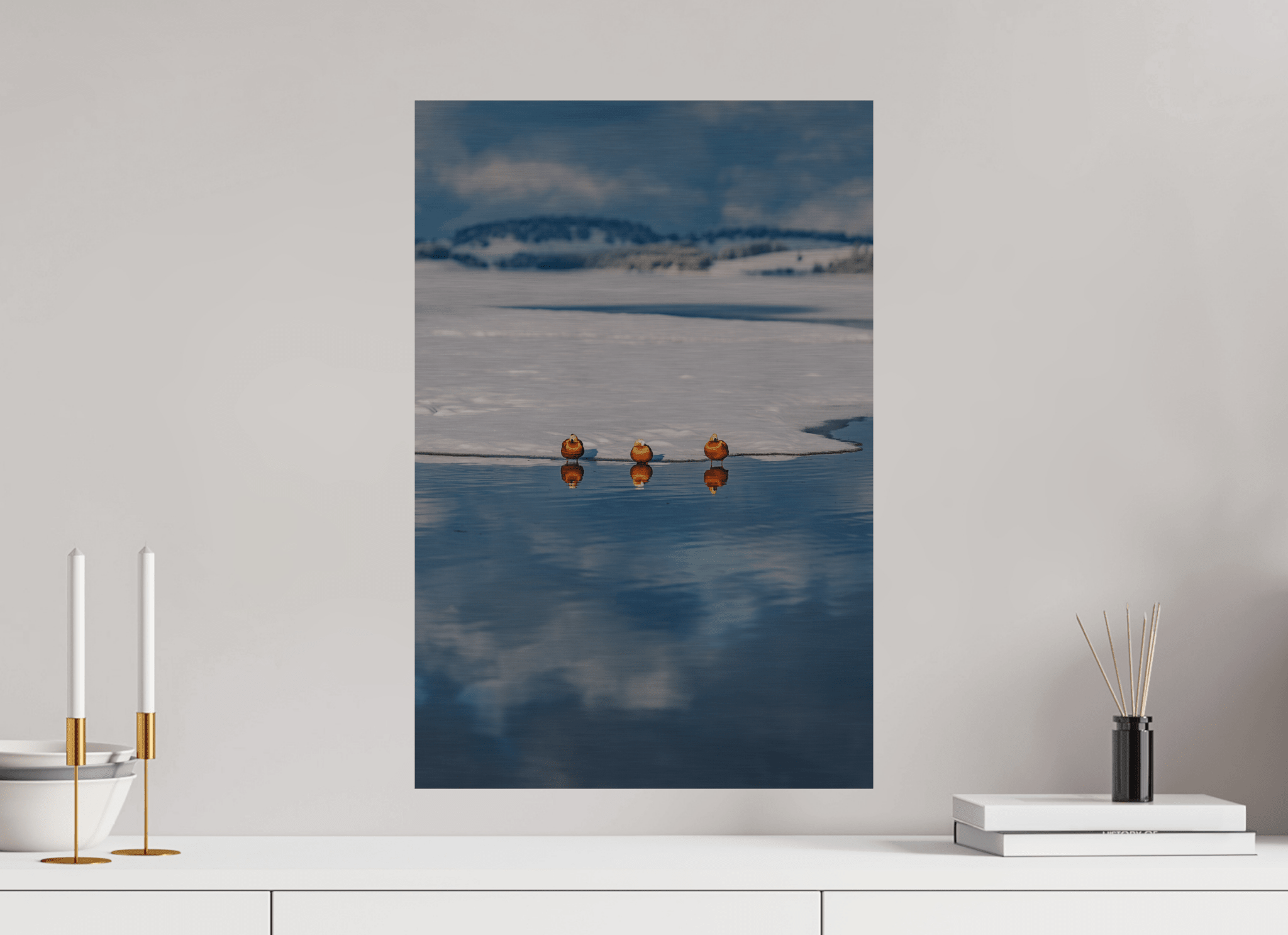 Rostgänse am Forggensee im Winter. - Chris - Frumolt - Shop