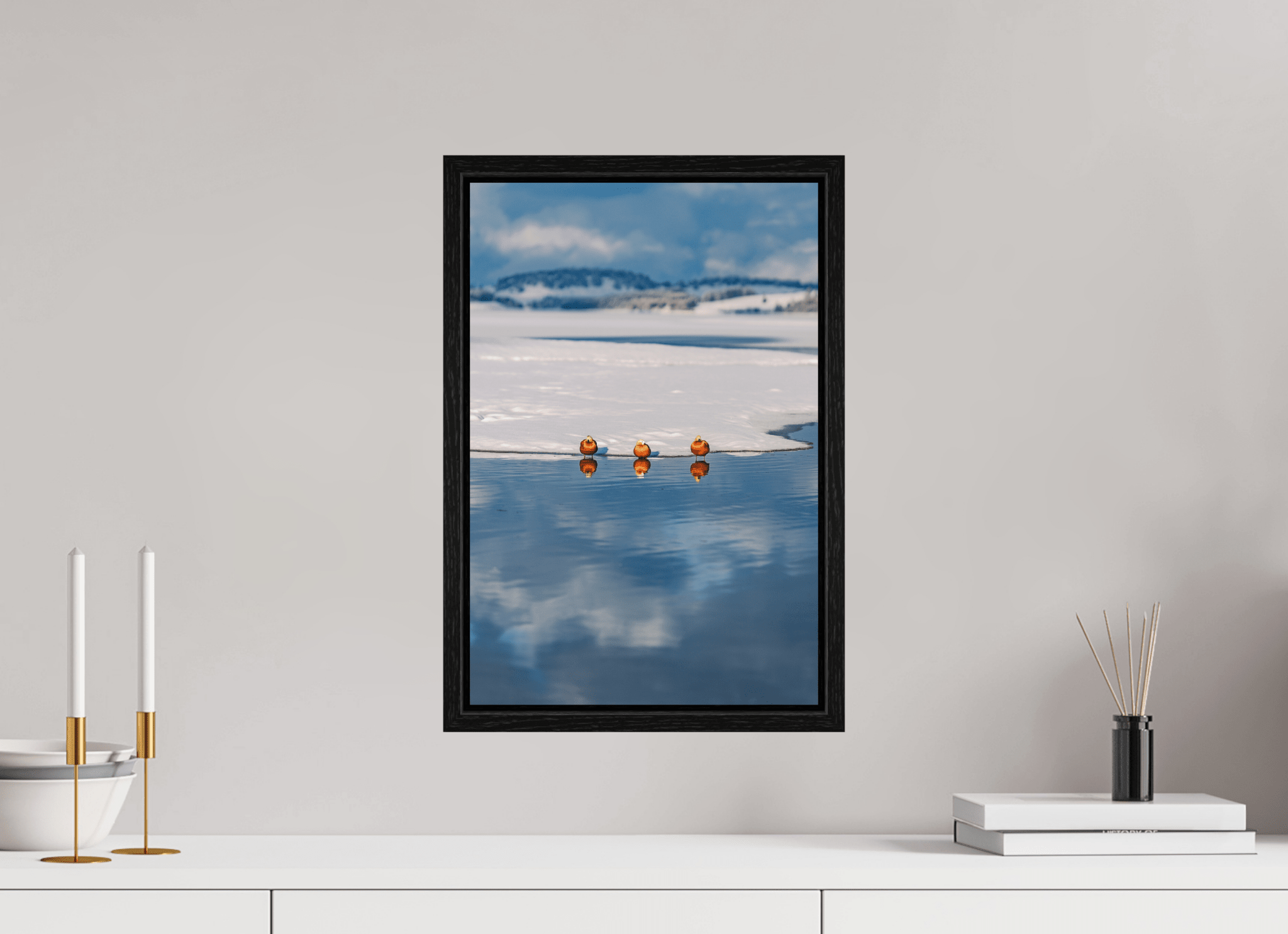 Rostgänse am Forggensee im Winter. - Chris - Frumolt - Shop