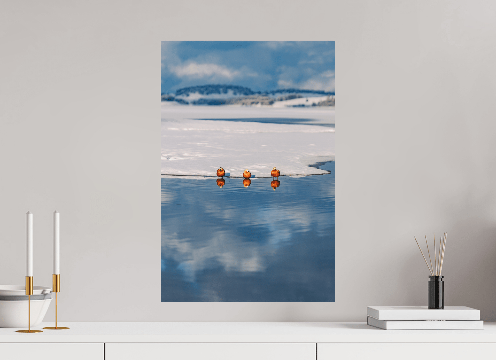 Rostgänse am Forggensee im Winter. - Chris - Frumolt - Shop