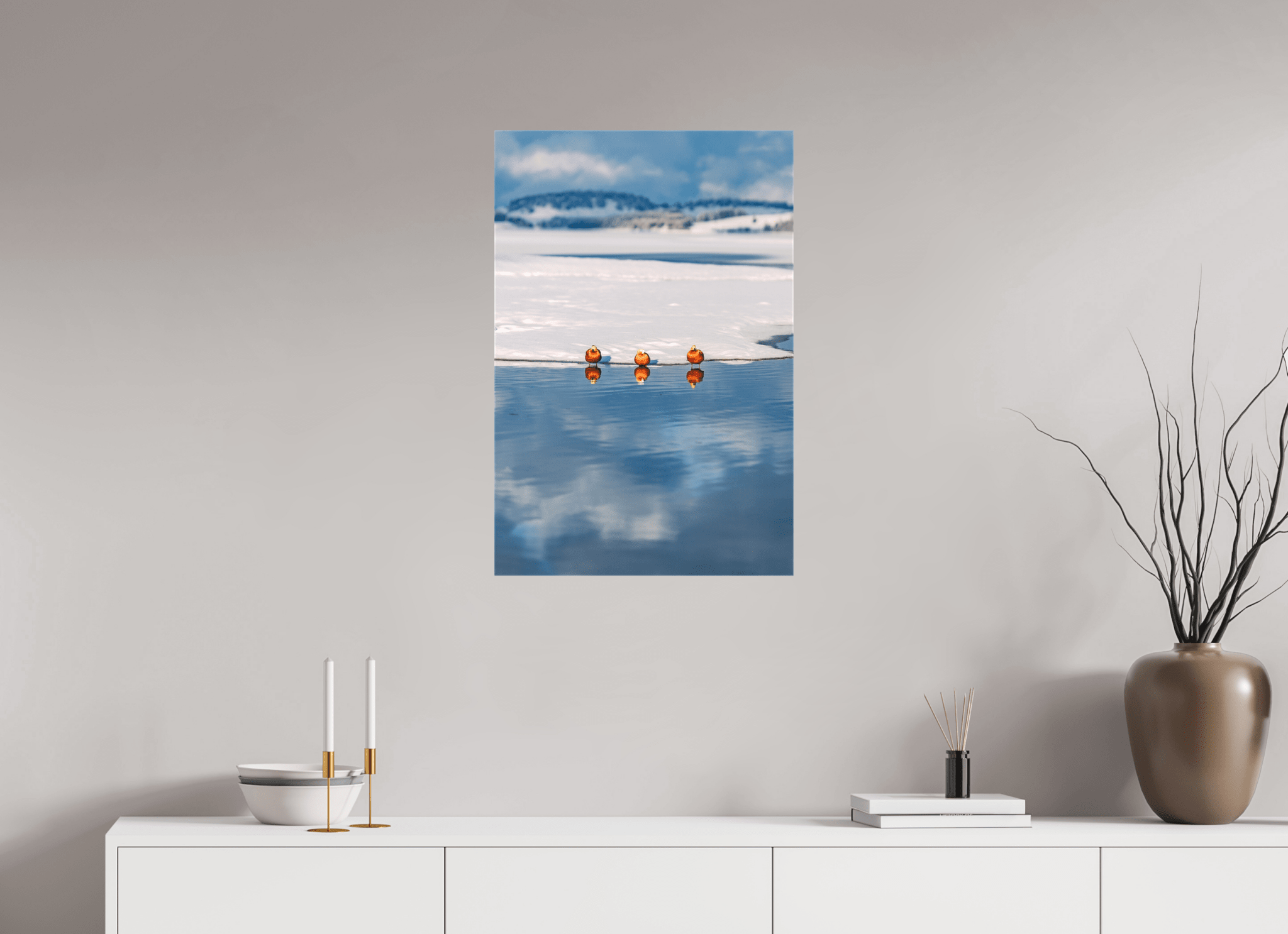 Rostgänse am Forggensee im Winter. - Chris - Frumolt - Shop