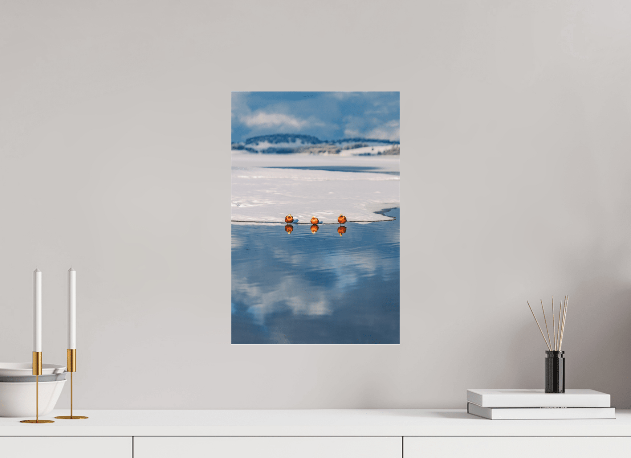 Rostgänse am Forggensee im Winter. - Chris - Frumolt - Shop