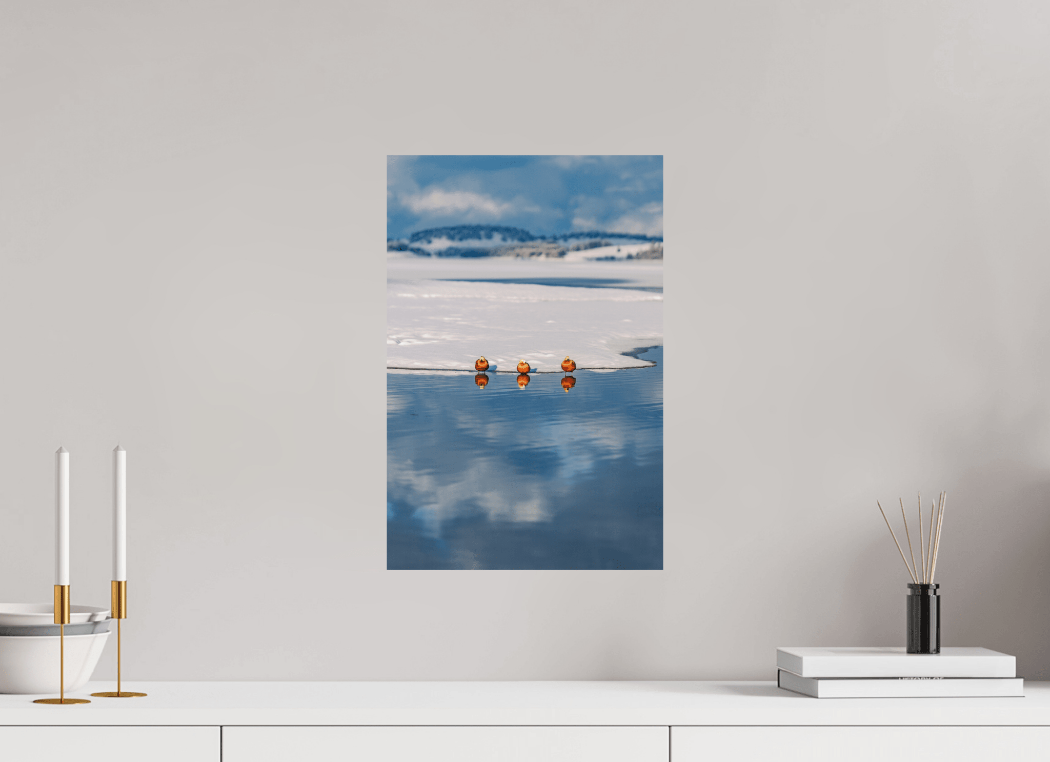 Rostgänse am Forggensee im Winter. - Chris - Frumolt - Shop