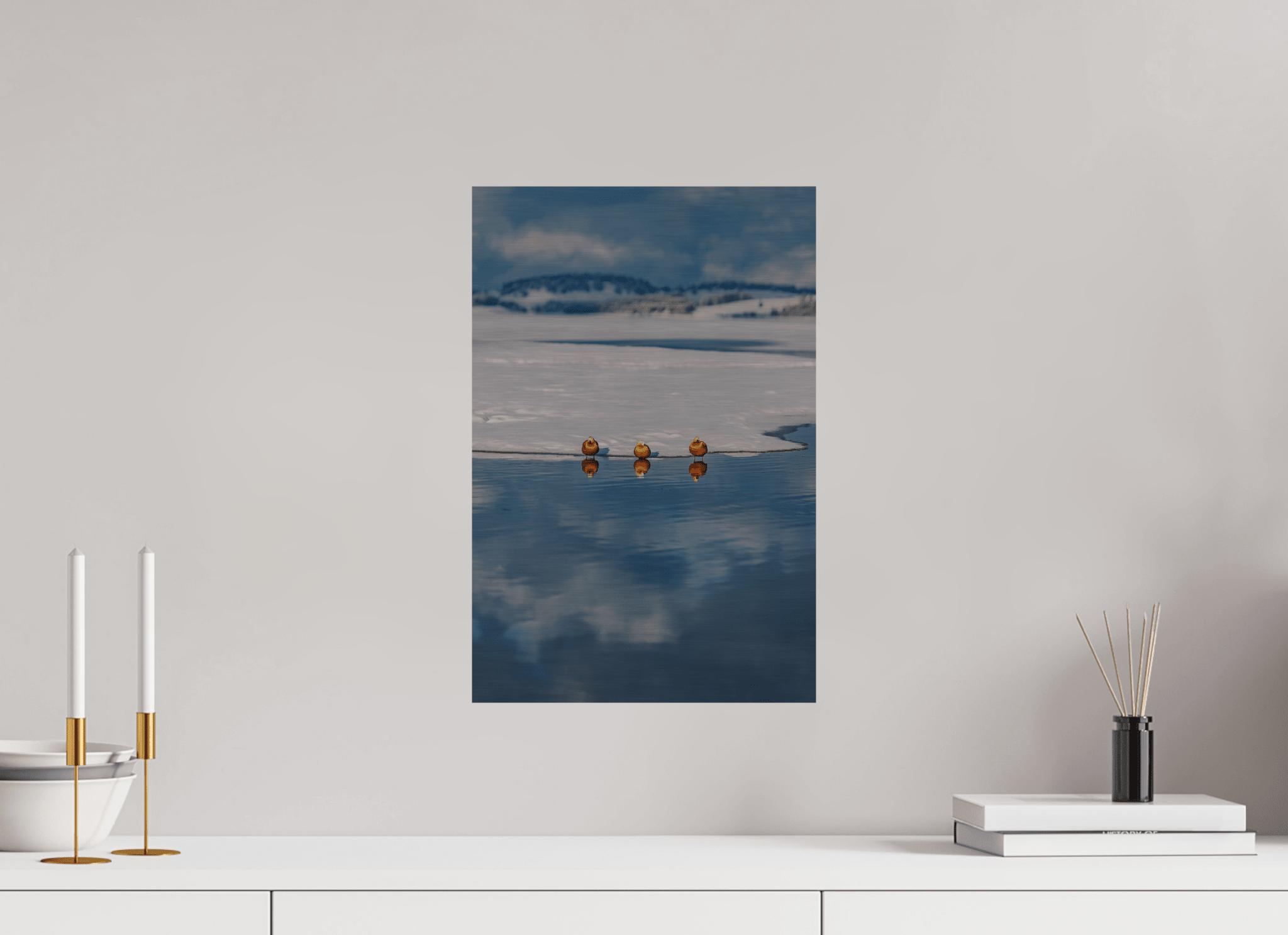 Rostgänse am Forggensee im Winter. - Chris - Frumolt - Shop