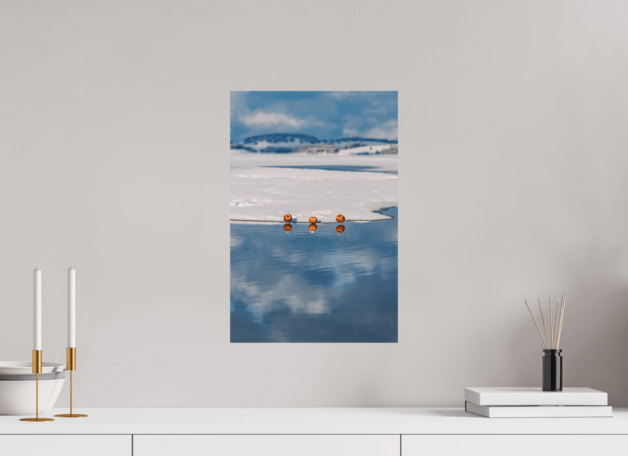 Rostgänse am Forggensee im Winter. - Chris - Frumolt - Shop