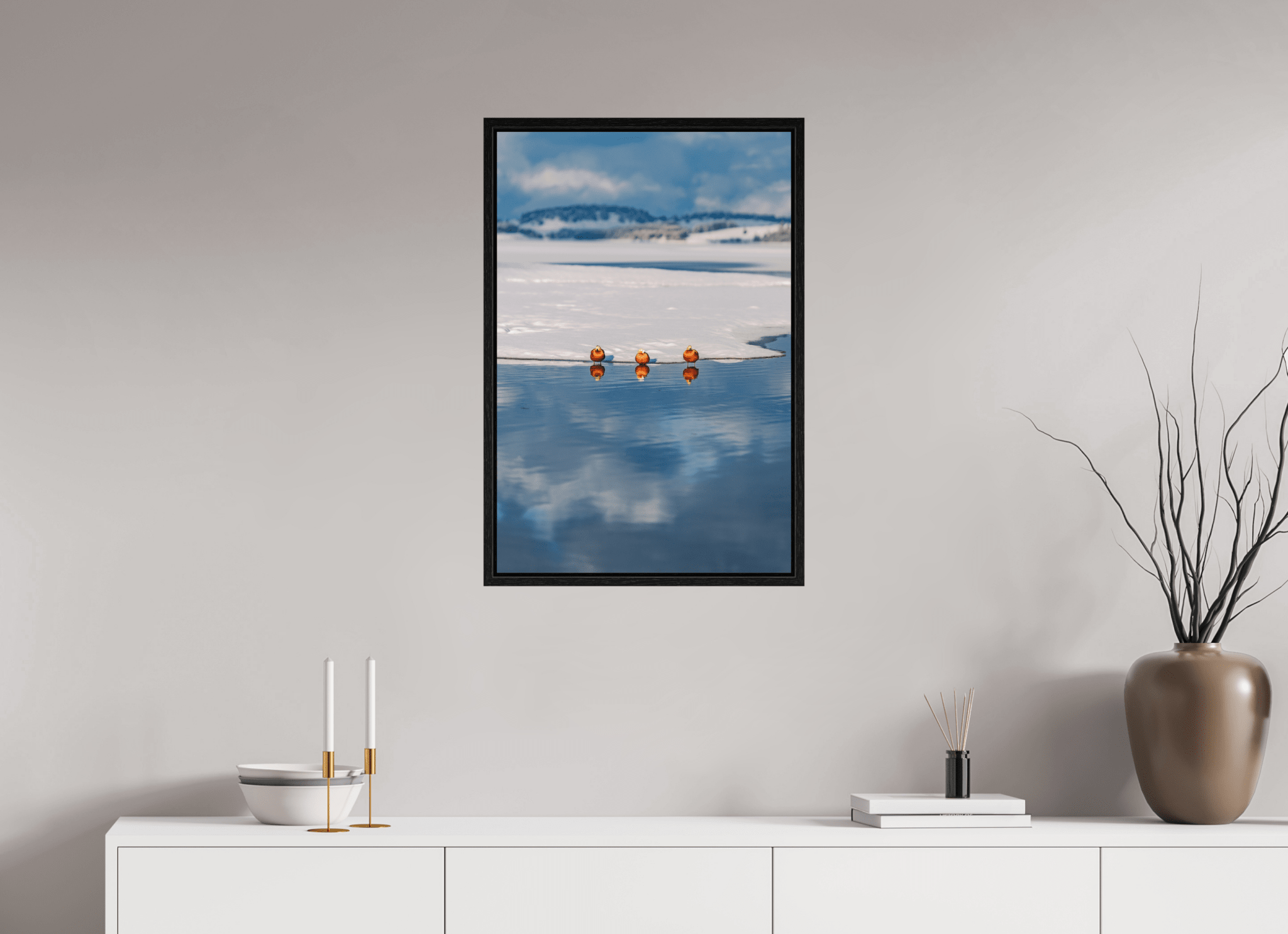 Rostgänse am Forggensee im Winter. - Chris - Frumolt - Shop