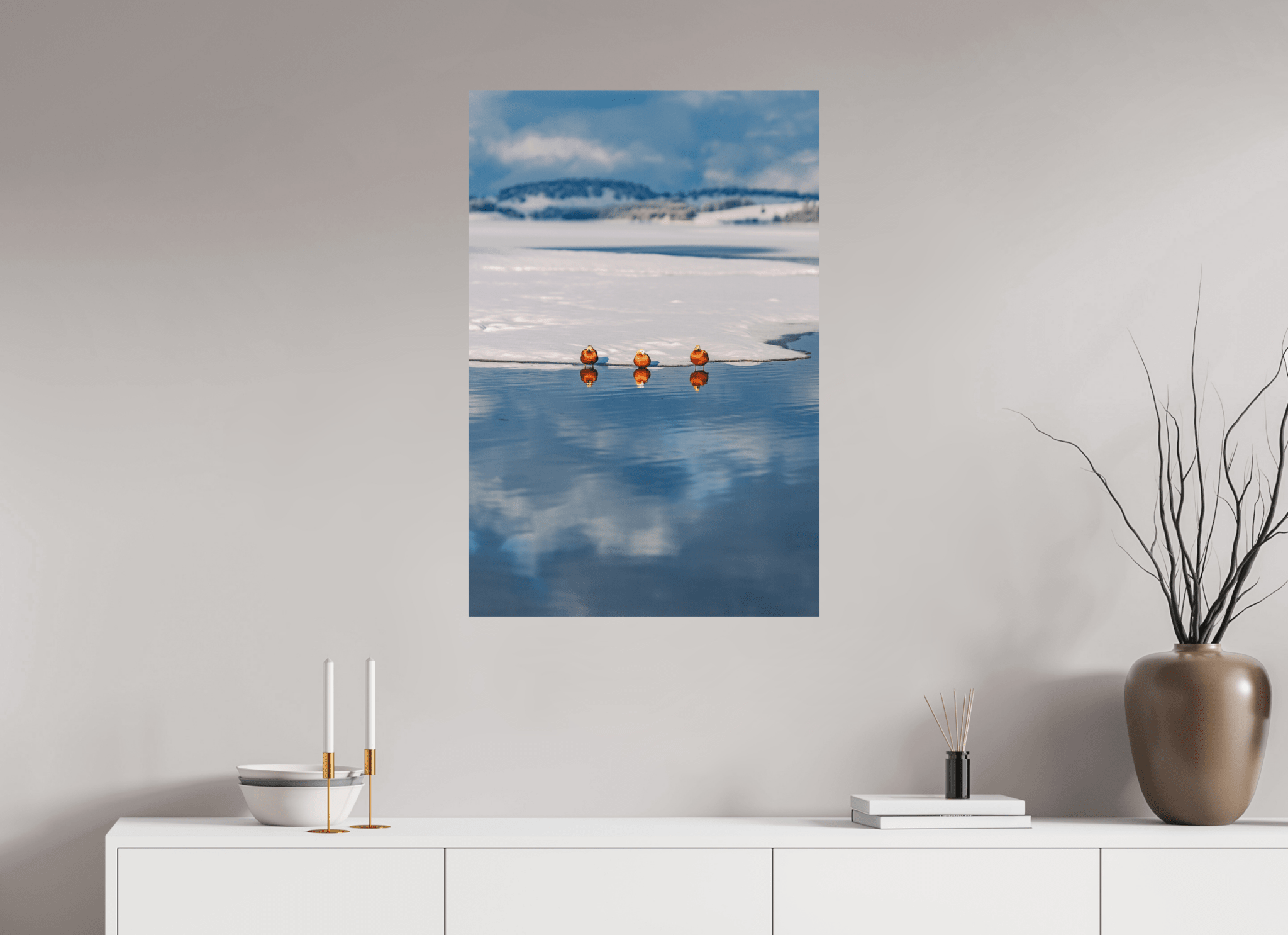 Rostgänse am Forggensee im Winter. - Chris - Frumolt - Shop