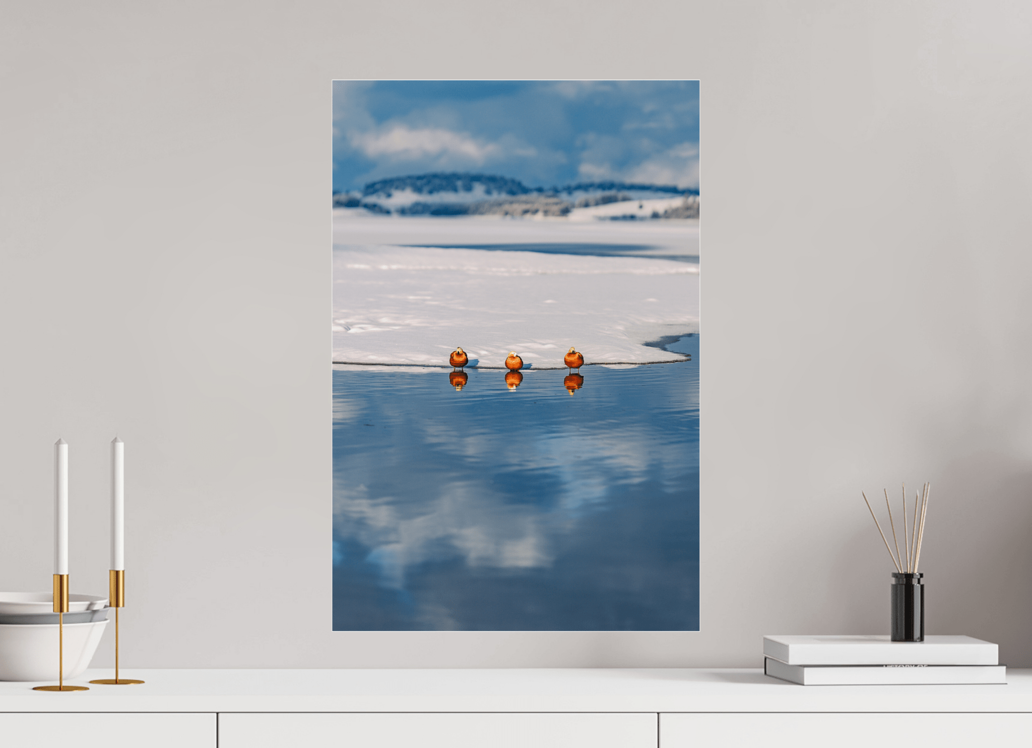 Rostgänse am Forggensee im Winter. - Chris - Frumolt - Shop