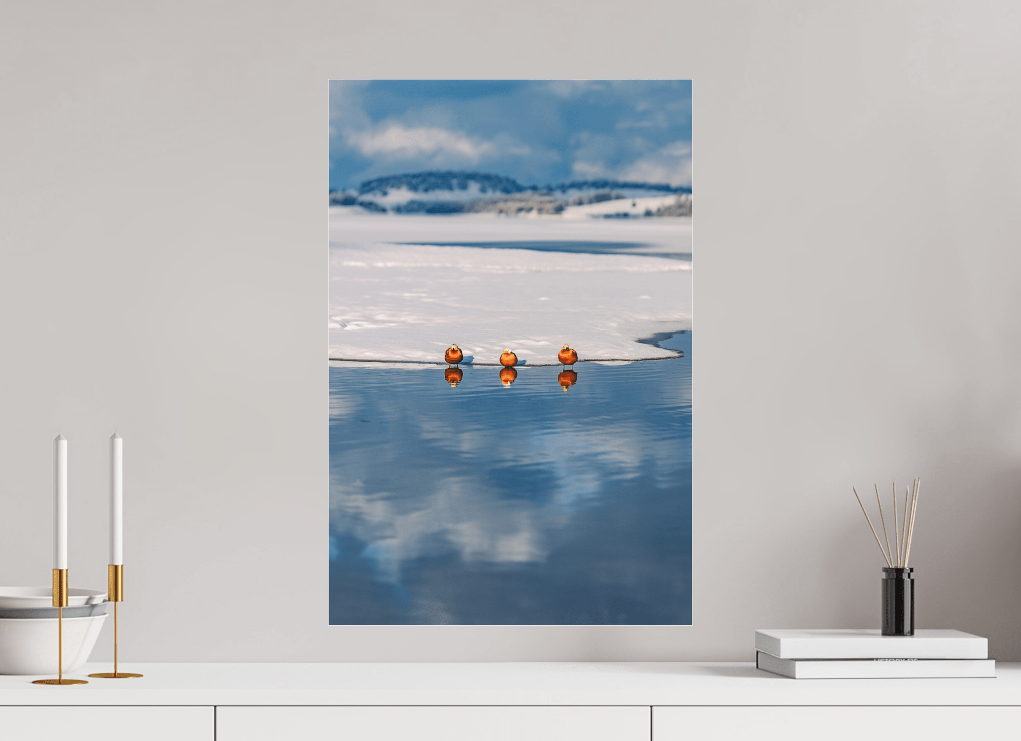 Rostgänse am Forggensee im Winter. - Chris - Frumolt - Shop