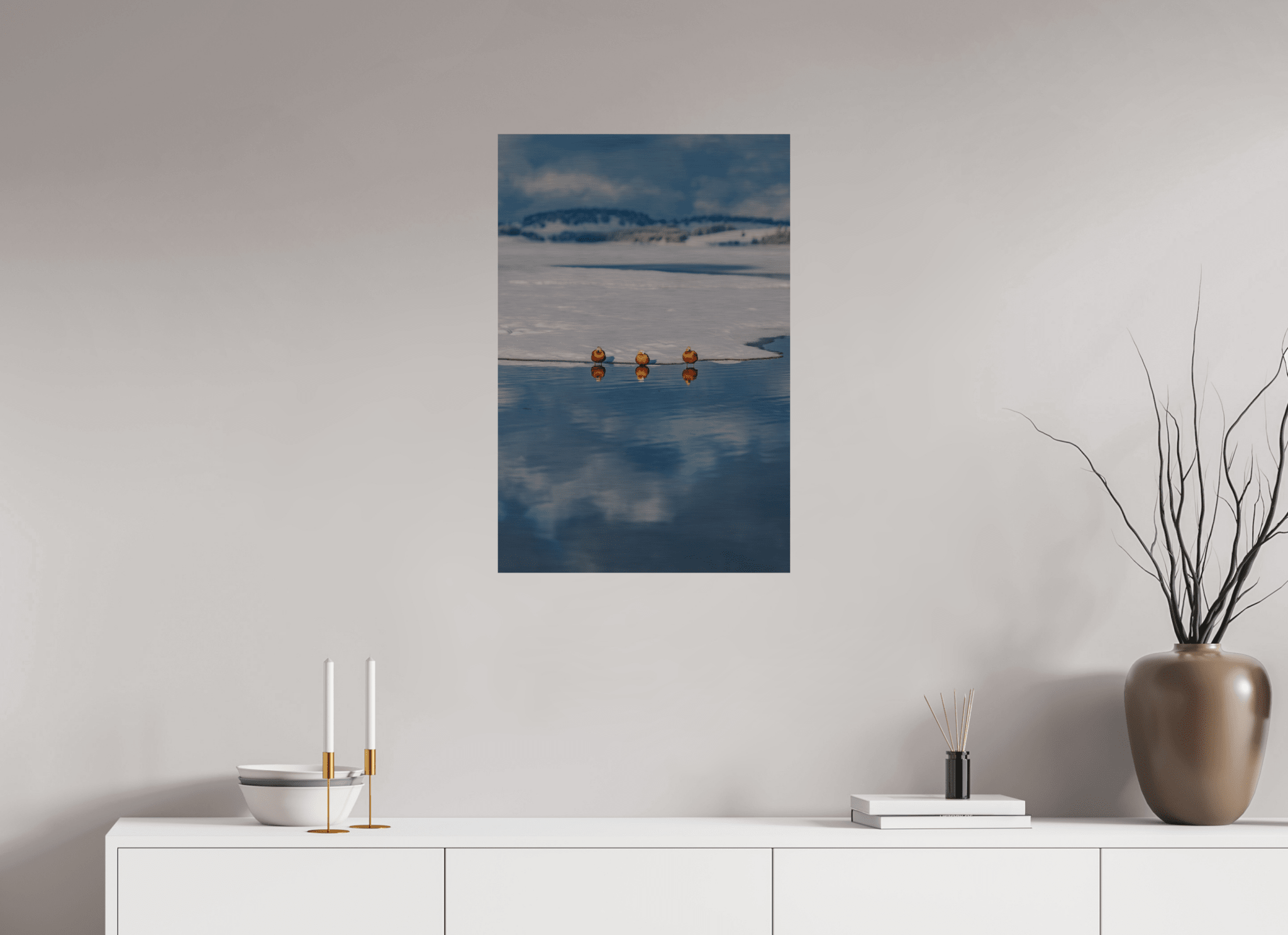 Rostgänse am Forggensee im Winter. - Chris - Frumolt - Shop