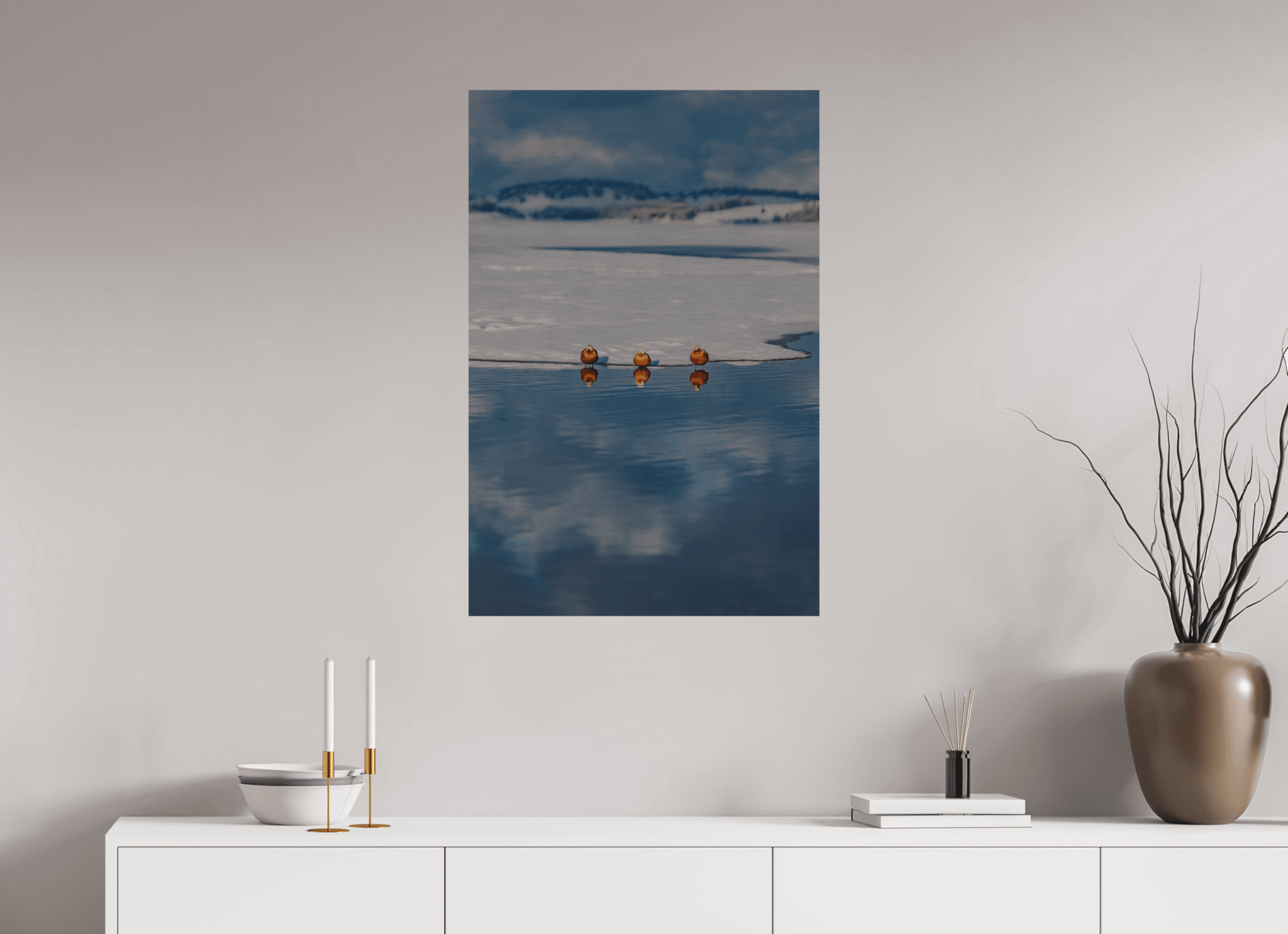 Rostgänse am Forggensee im Winter. - Chris - Frumolt - Shop