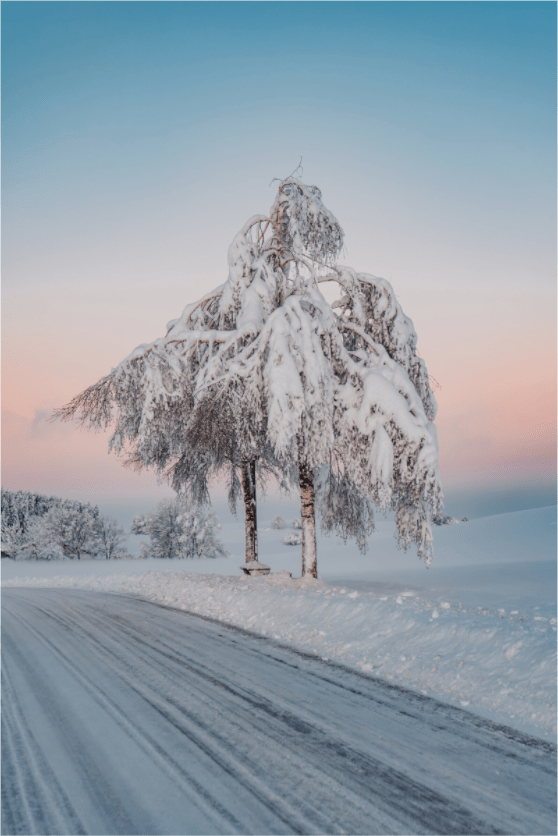 The frozen one. - Chris - Frumolt - Shop