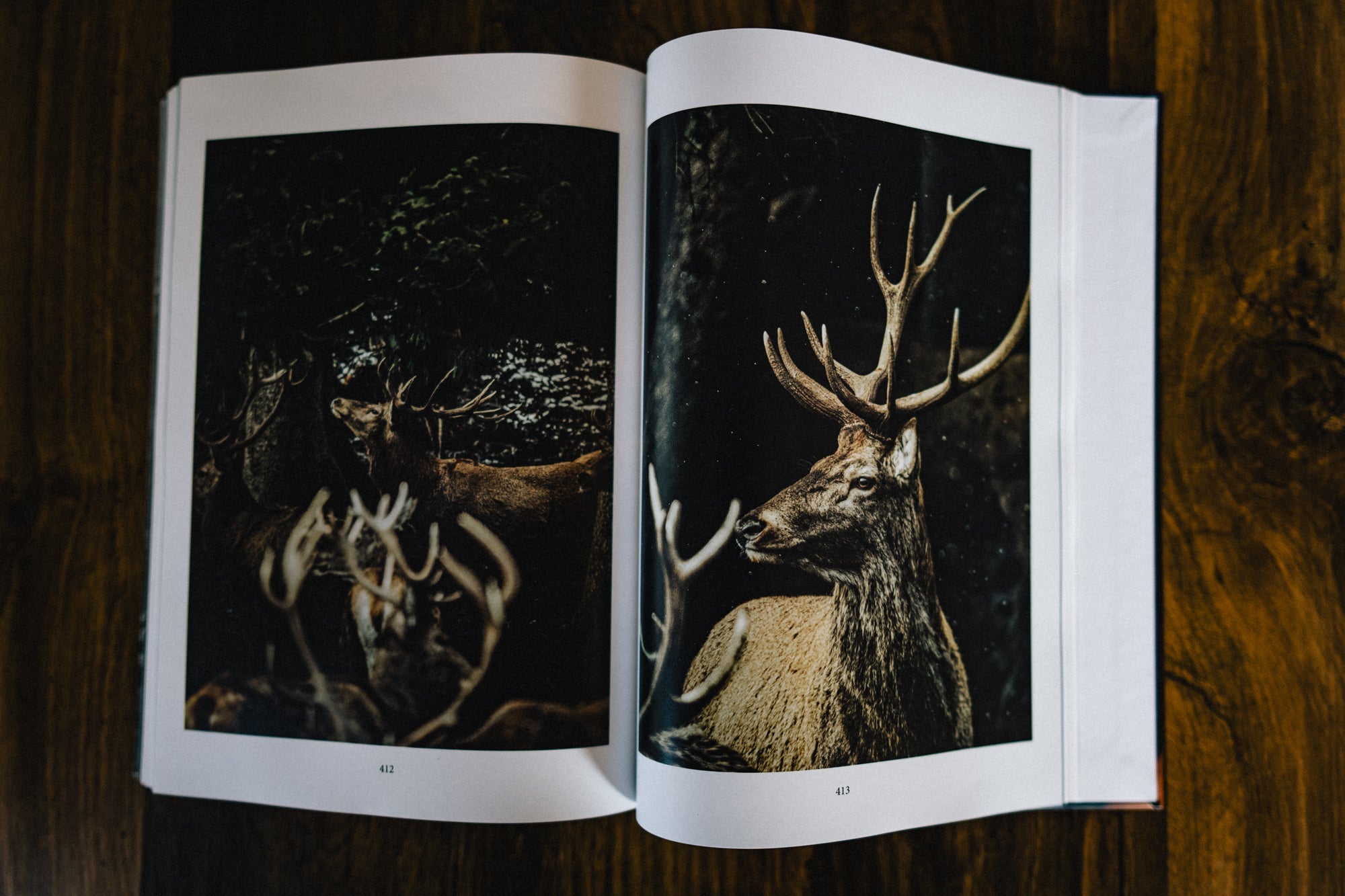 "Unfinished" Bildband - Chris - Frumolt - Shop