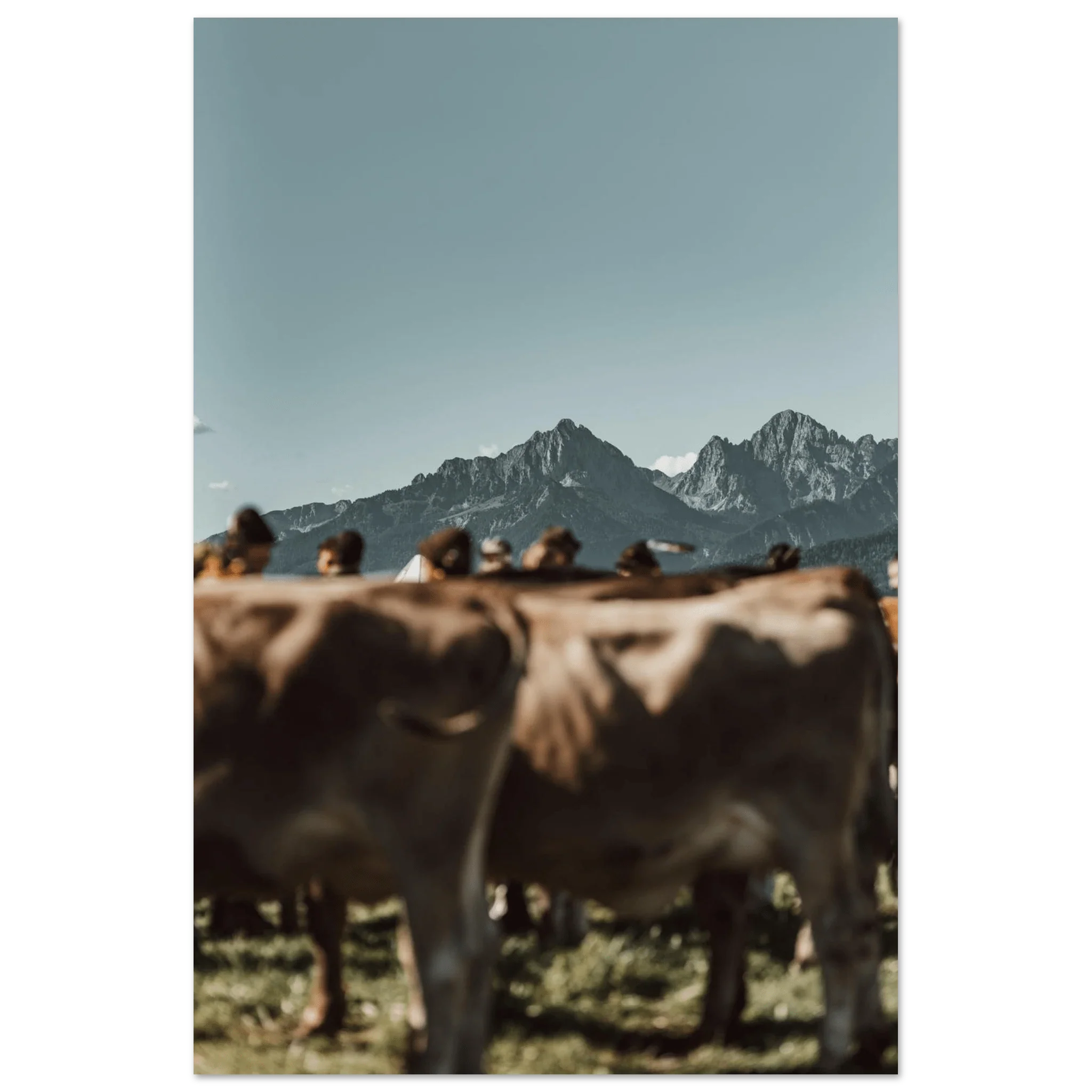 Viehscheid - 234 - FineArt - Chris - Frumolt - Shop